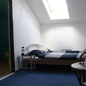 Ubytování Šámalka Brno Room photo