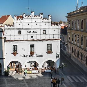 Hotel Bily Konicek Třeboň Exterior photo