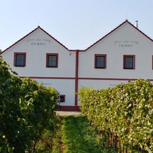 Penzion a vinařství Lelíkovi Dolní Dunajovice Exterior photo